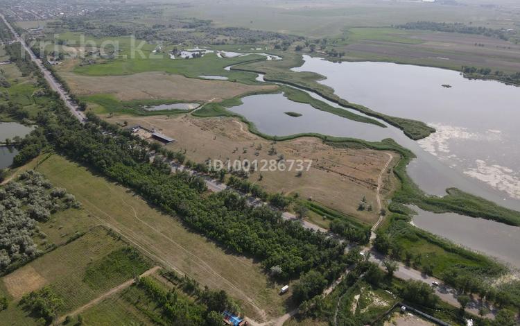 Участок · 4 га, Жаналык — Алатау за 160 млн ₸ в Алматы — фото 16
