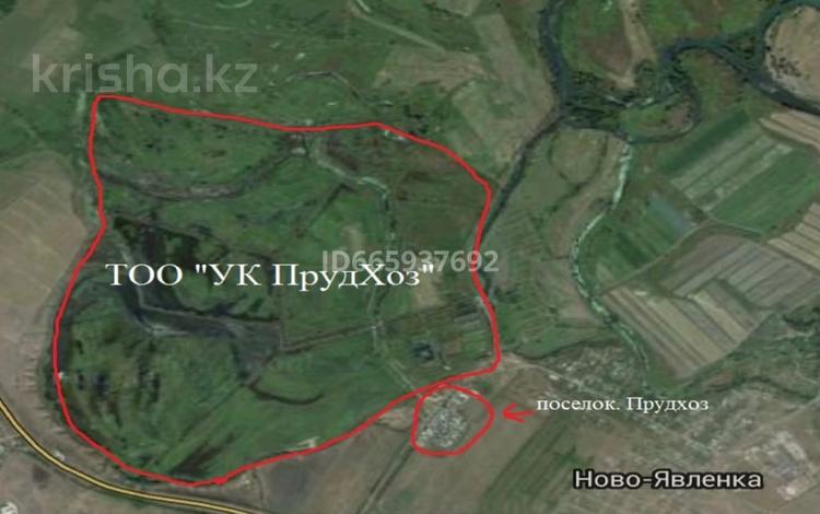 Ауыл шаруашылығы • 686 м², бағасы: 250 млн 〒 в Усть-Каменогорске — фото 3