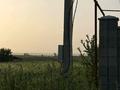 Участок · 50 соток, Долан 219 ес.кв 442уч за 39 млн ₸ — фото 5