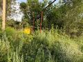 Участок · 50 соток, Долан 219 ес.кв 442уч за 39 млн ₸ — фото 8