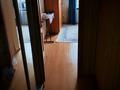 2-бөлмелі пәтер · 46 м² · 12/15 қабат, Косшыгулулы 10/1 — 10 полеклиника, бағасы: 23 млн ₸ в Астане, Сарыарка р-н — фото 7