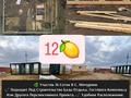 Участок · 16 соток, Аубакирова за 11.5 млн ₸ в Мичуринское — фото 6