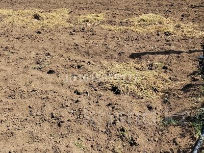 Участок · 10 соток, мкр Кунгей , Акселеу сейдимбека 158 за 5.5 млн ₸ в Караганде, Казыбек би р-н