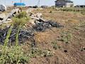 Участок · 10 соток, мкр Кунгей , Акселеу сейдимбека 158 за 5.5 млн ₸ в Караганде, Казыбек би р-н — фото 5