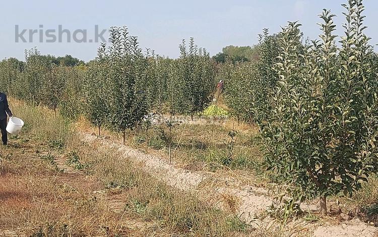 Жер телімі · 11.5 га, Село Балтабай вдоль Бака — Вдоль трассы, бағасы: 91 млн 〒 в Тургене — фото 2