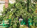 Отдельный дом · 5 комнат · 300 м² · 10 сот., мкр Калкаман-2 225 за 190 млн ₸ в Алматы, Наурызбайский р-н — фото 33