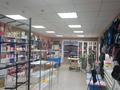 Еркін, кеңселер, дүкендер мен бутиктер · 258.5 м², бағасы: 125 млн ₸ в Аркалыке — фото 9