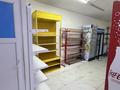 Дүкендер мен бутиктер · 43.2 м², бағасы: 14 млн ₸ в Косшы — фото 2