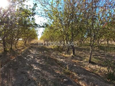 Фруктовый сад · 50000 м² за 25 млн 〒 в Жанакоргане