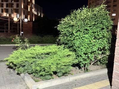 1-бөлмелі пәтер · 42 м² · 1/16 қабат, Навои 37, бағасы: 280 000 ₸ в Алматы, Бостандыкский р-н