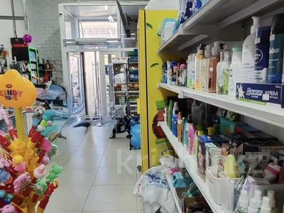 Действующий бизнес · 110 м² за 42 млн ₸ в Астане, Есильский р-н
