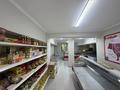Мясной и молочный,продуктовый действуйщий магазин · 80 м², бағасы: 15 млн ₸ в Алматы, Алмалинский р-н