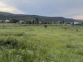Участок · 100 соток, Таужолы за 800 млн ₸ в Алматы, Наурызбайский р-н — фото 2