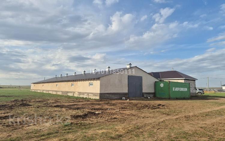 Өнеркәсіптік база · 10 сотық, П.Нура, бағасы: 45 млн ₸ в Кабанбае Батыра — фото 2