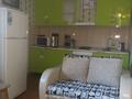 Жеке үй · 1 бөлме · 20 м², Советская 22, бағасы: 25 000 ₸ в Бурабае — фото 4
