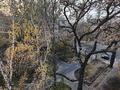 3-комнатная квартира · 67.7 м² · 5/5 этаж, Валиханова 84 за 60 млн ₸ в Алматы, Медеуский р-н — фото 17