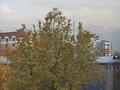 3-комнатная квартира · 67.7 м² · 5/5 этаж, Валиханова 84 за 60 млн ₸ в Алматы, Медеуский р-н — фото 19