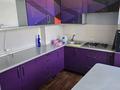 2-бөлмелі пәтер · 55 м² · 4/5 қабат, Барибаева 15 — Парк горького, бағасы: 350 000 ₸ в Алматы, Медеуский р-н — фото 9
