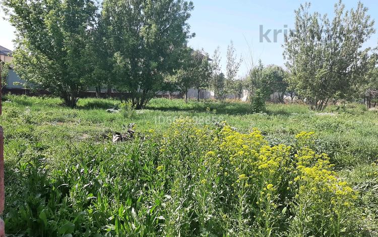 Участок · 8 соток, Мкр Алтын аул — Сартай Бурашева за 30 млн ₸ в Каскелене — фото 9