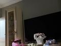 3-бөлмелі пәтер · 80 м² · 8/9 қабат, Шоссе Коргалжын 15/1, бағасы: 55 млн ₸ в Астане, Нура р-н — фото 25