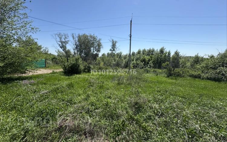Участок · 7 соток, Агротехснаб 159/1 за 4 млн ₸ в Трекино — фото 2