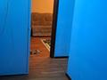 2-бөлмелі пәтер · 42 м² · 5/5 қабат, Басенова 41 — Розыбакиева - Басенова, бағасы: 37 млн ₸ в Алматы, Бостандыкский р-н — фото 21