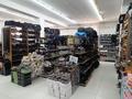 Магазины и оптовая торговля · 500 м² за 80 млн ₸ в Арыси — фото 7