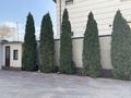 Жеке үй · 5 бөлме · 325 м² · 8 жүзд., Құрамыс ш/а. 244, бағасы: 230 млн ₸ в Алматы, Наурызбайский р-н — фото 24