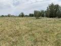 Участок · 10 соток, Абая 230 пн — Чуть ниже парка за 2.2 млн ₸ в Нура — фото 4