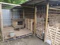 Отдельный дом · 6 комнат · 43.8 м² · 5.96 сот., Достык 5 — Альмерек за 35 млн ₸ в Кенена Азербаева (Покровка) — фото 5