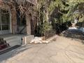 Свободное назначение · 1400 м² за 1.2 млн ₸ в Талгаре — фото 2