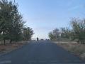 Участок · 8 соток, мкр Асар-2 1327/1 за 27 млн ₸ в Шымкенте, Абайский р-н — фото 10