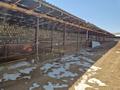 Сельское хозяйство · 900 м² за 72 млн ₸ в Каскасу — фото 4