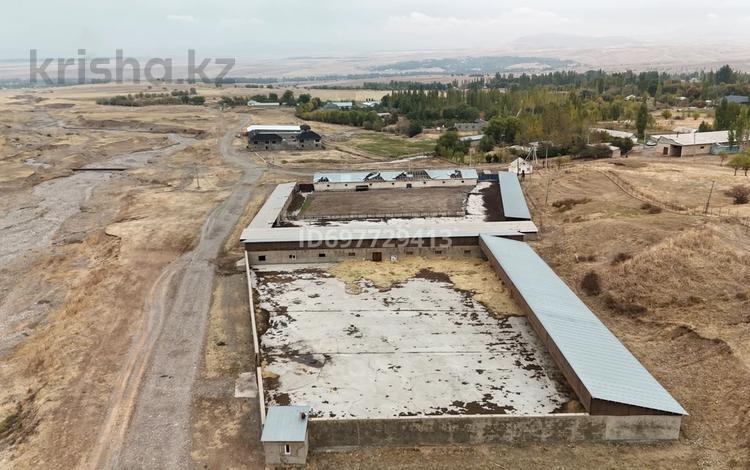 Сельское хозяйство · 900 м² за 72 млн ₸ в Каскасу — фото 13