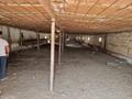 Сельское хозяйство · 900 м² за 72 млн ₸ в Каскасу — фото 5