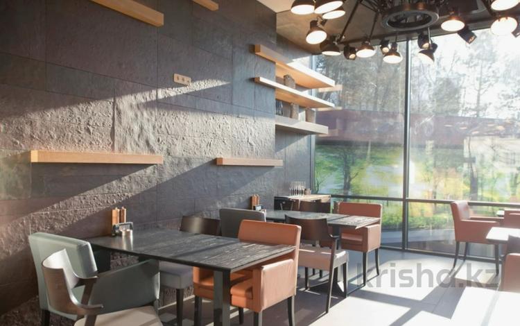Еркін, қоғамдық тамақтану орны · 800 м², бағасы: ~ 1.1 млрд ₸ в Алматы, Медеуский р-н — фото 4