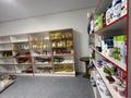 Свободное назначение · 350 м² за 56 млн ₸ в Алматы, Медеуский р-н — фото 11