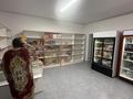 Свободное назначение · 350 м² за 56 млн ₸ в Алматы, Медеуский р-н — фото 12