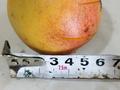 Саяжай · 3 бөлме · 72 м² · 12.5 жүзд., С/о Агат, бағасы: ~ 31 млн ₸ в Каскелене — фото 42