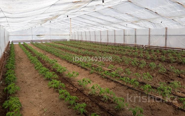 Сельское хозяйство • 600 м² за 12 млн 〒 в Кемертогане — фото 2