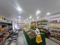 Магазины и бутики · 120 м² за 50 млн ₸ в Павлодаре — фото 4