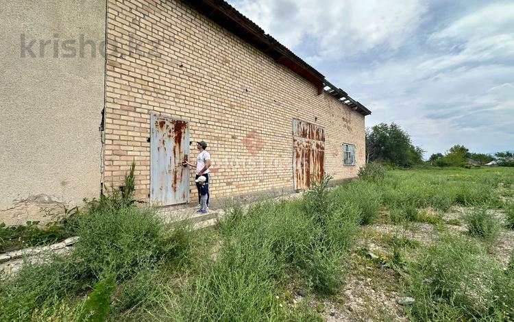 Участок · 1.6 га, Май за 350 млн ₸ в Шамалгане — фото 4