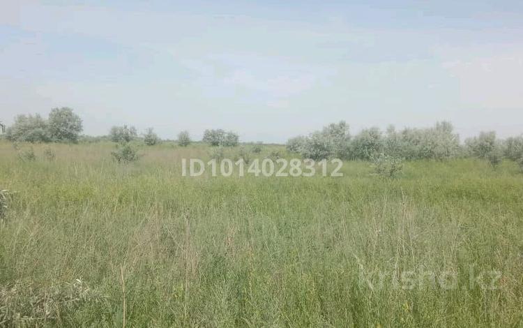 Жер телімі · 5 га, Ақбастау, бағасы: 2.5 млн ₸ в Акбастау — фото 3