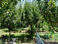 Отдельный дом · 3 комнаты · 80 м² · 800 сот., мкр Достык , Достық ш/аНұртау 82 за 35 млн ₸ в Шымкенте, Абайский р-н — фото 3
