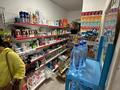Магазины и бутики · 66 м² за 50 млн 〒 в Алматы, Наурызбайский р-н — фото 6