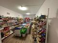 Магазины и бутики · 66 м² за 50 млн 〒 в Алматы, Наурызбайский р-н — фото 7
