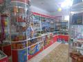 Магазины и бутики • 447.5 м² за 75 млн 〒 в Щучинске — фото 3