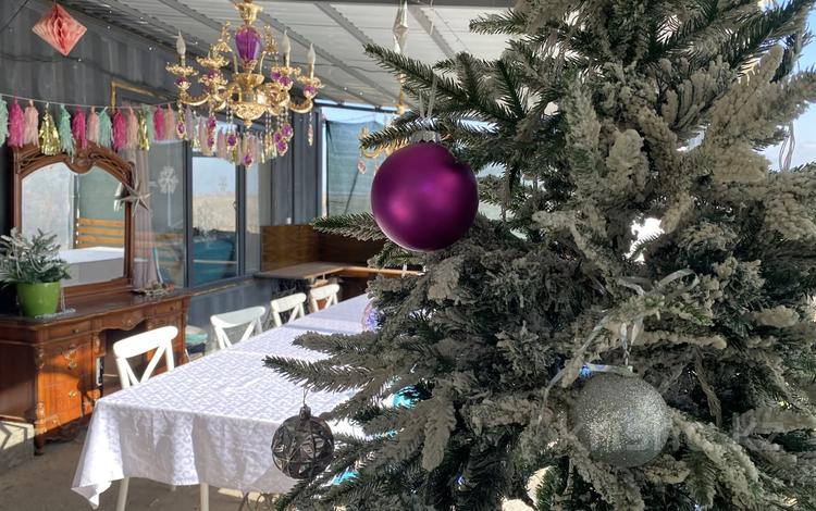 Жеке үй · 4 бөлме · 130 м², мкр Горный Гигант, Горный садовод 82а, бағасы: 60 000 〒 в Алматы, Медеуский р-н — фото 81