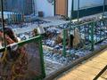 Жеке үй · 4 бөлме · 70.1 м² · 4 жүзд., Казахский 1 — Пересечение молодогвардейцев и батищева-тарасова, бағасы: 21 млн ₸ в Рудном — фото 4
