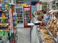 Магазины и бутики · 49.8 м² за 35 млн ₸ в Уральске, мкр Айгуль — фото 8